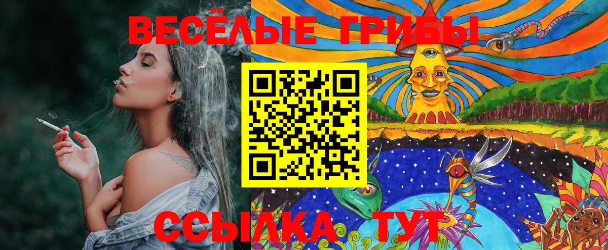 Псилоцибиновые грибы Psilocybe Кимовск