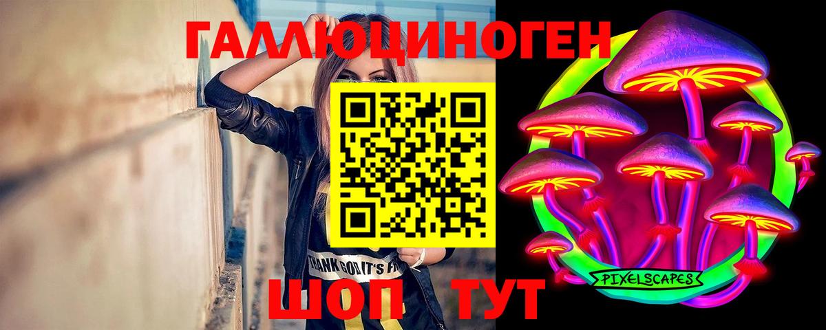 Кимовск  как найти закладки  Псилоцибиновые грибы Magic Shrooms  Вход с VPN  Галлюциногенные грибы прущие грибы 